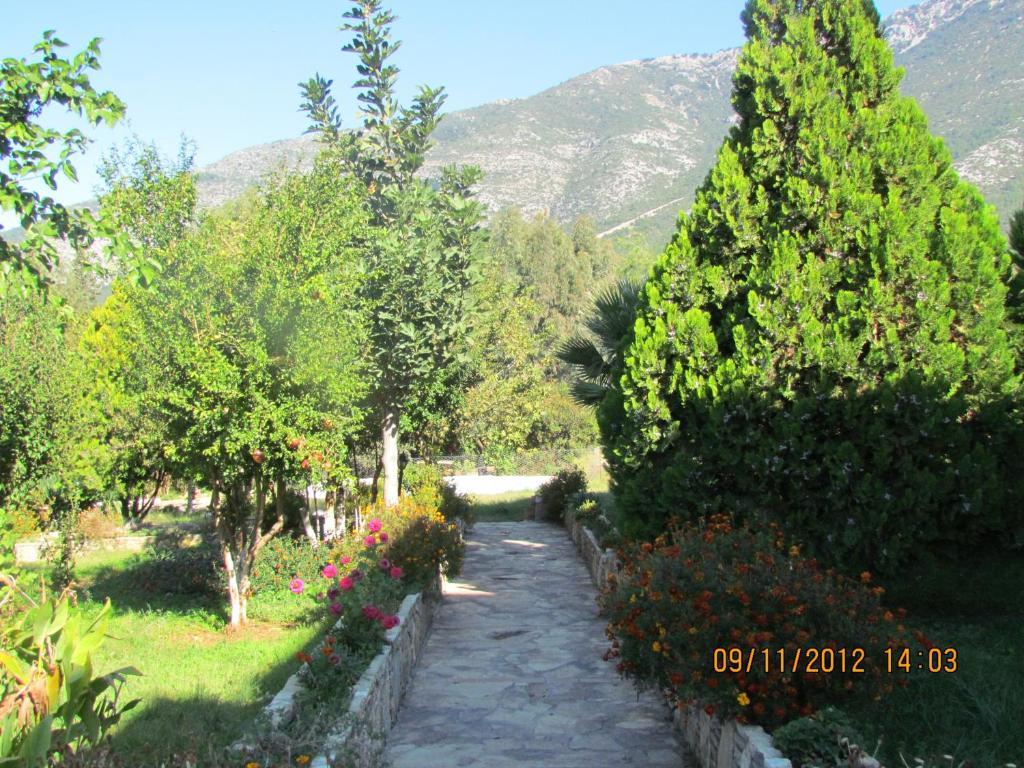 Salhan Apart Inn Hotel Öludeniz Exteriör bild
